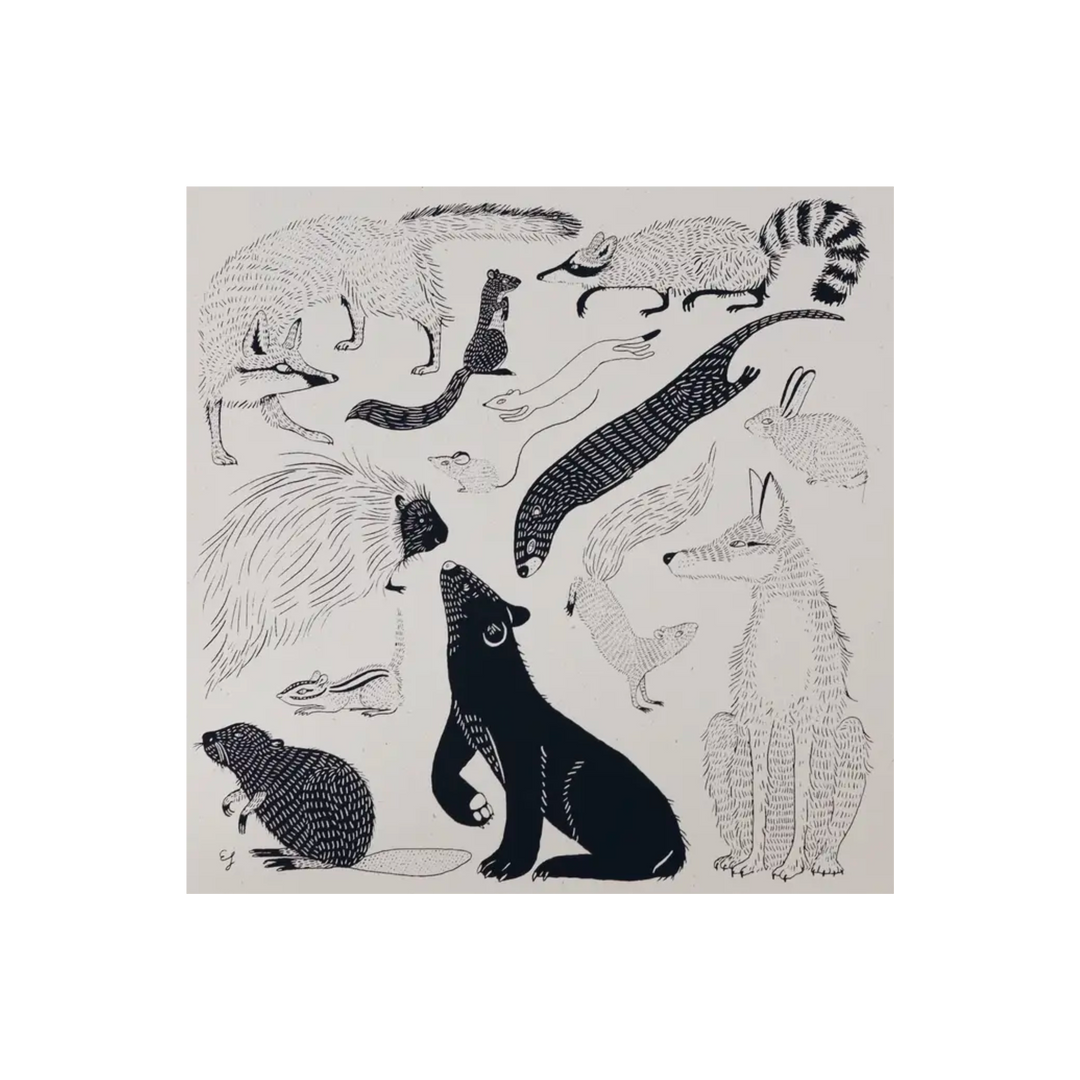 New England Mammals Print