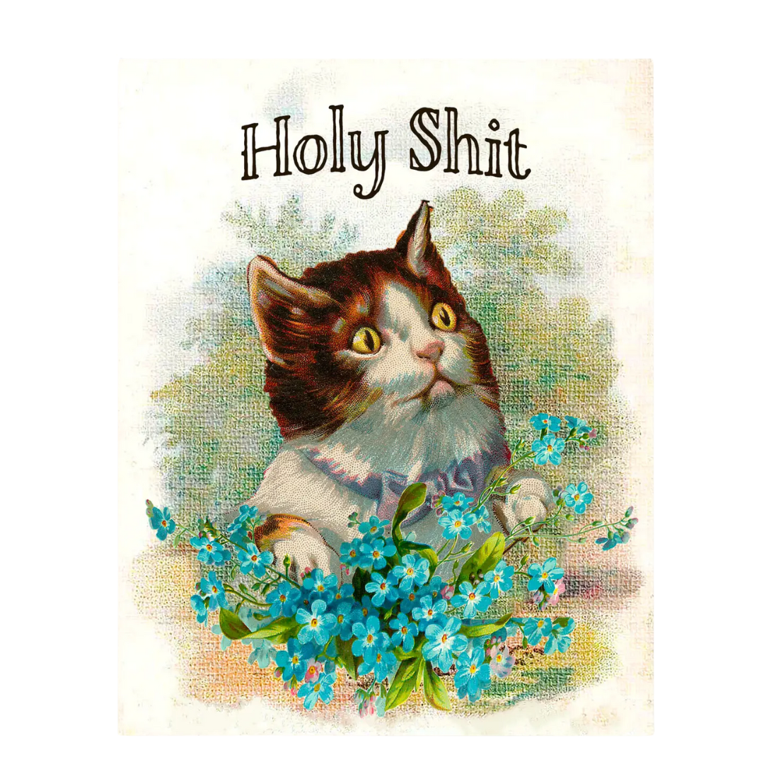 Kitty Cat Holy Shit Card