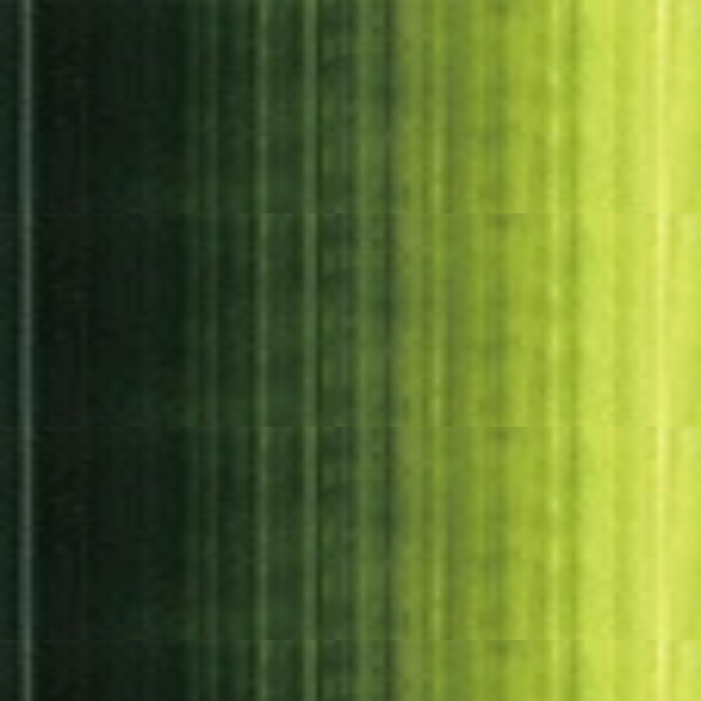 Sap Green Holbein Heavy Body Acrylic Paints 60ML