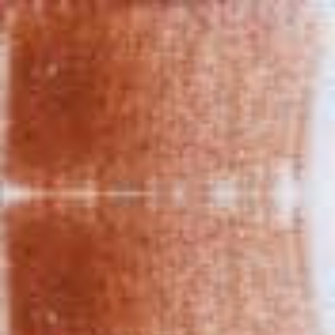 Brown Holbein Artists' Colored Pencils