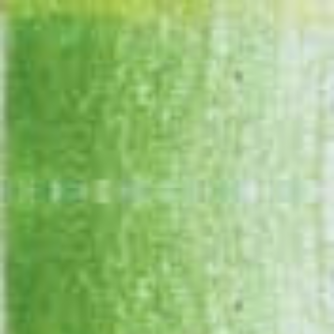 Evergreen Holbein Artists' Colored Pencils