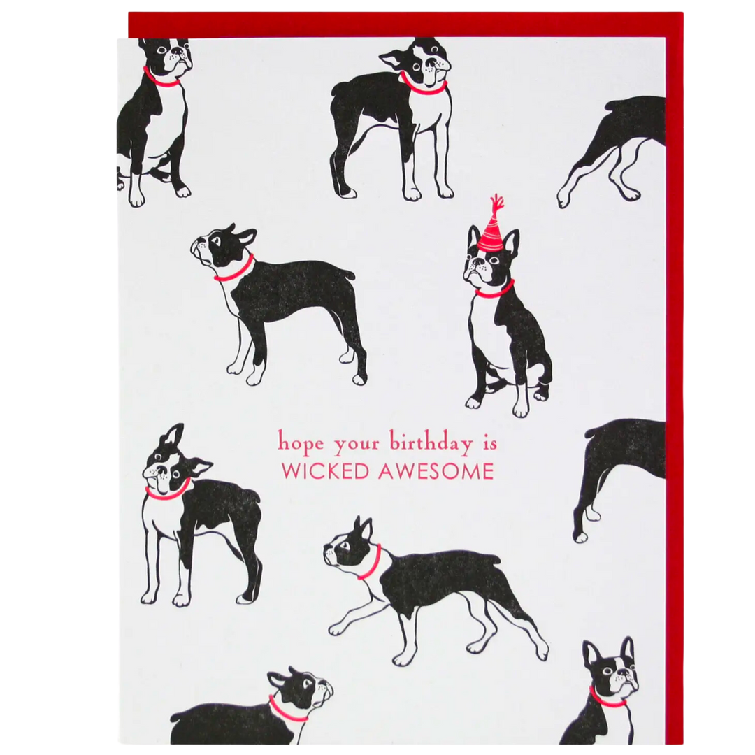 Boston Terrier Birthday Card