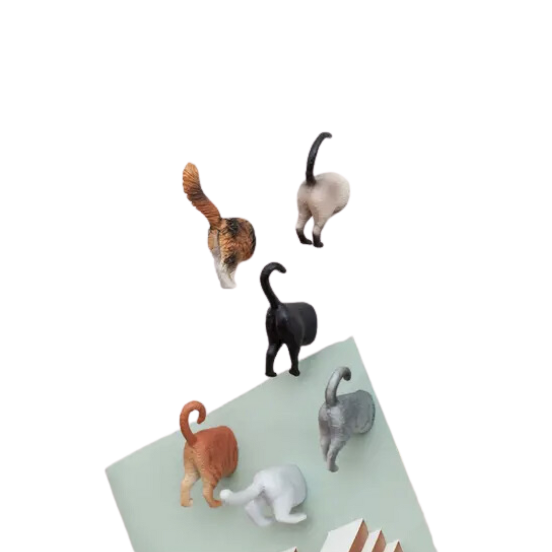 Cat Butt Magnets (Set of 6)