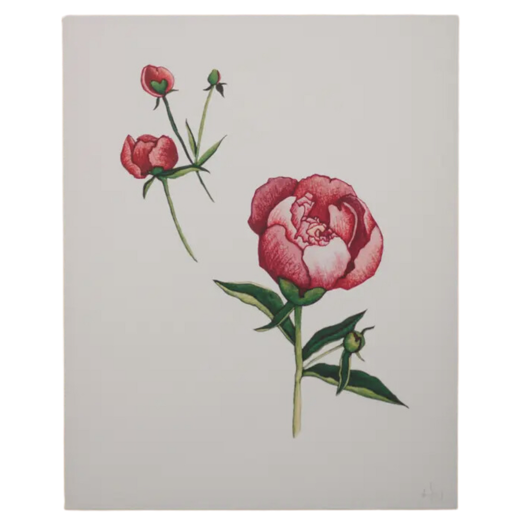 Peonies 8x10 Print