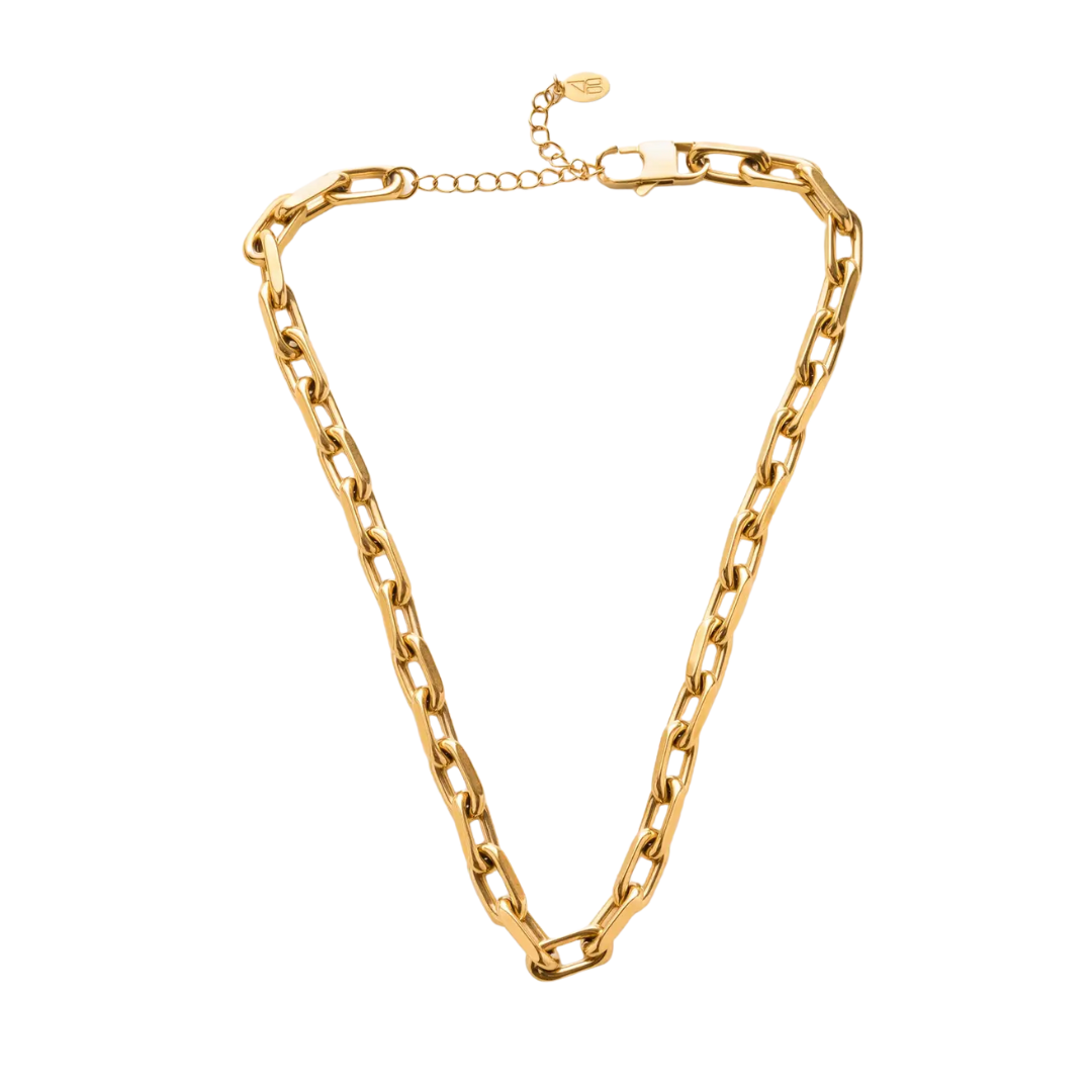 Dani Chunky Link Choker