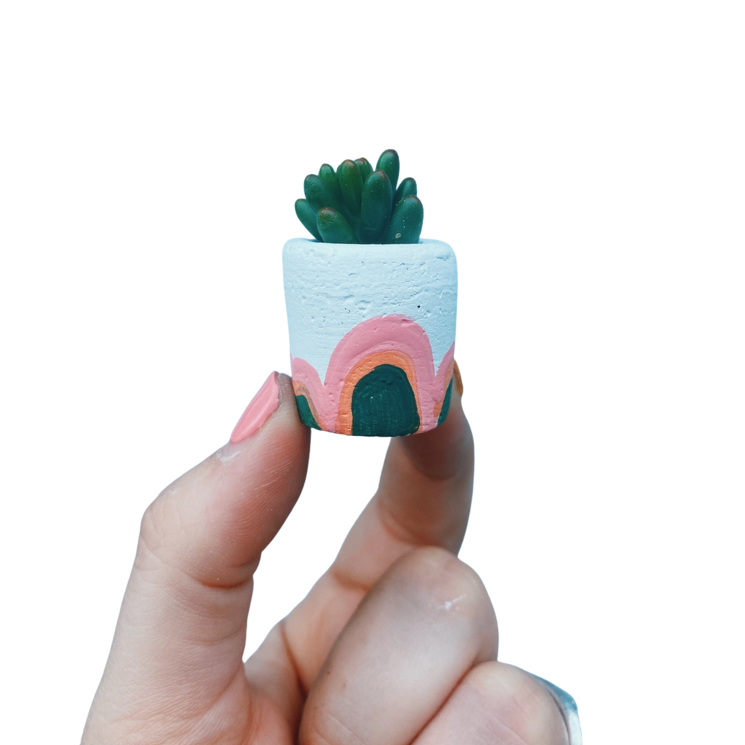 The Portland Mini Planter with Air Plant