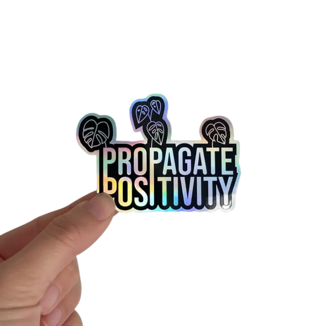 Propagate Positivity Holographic Sticker