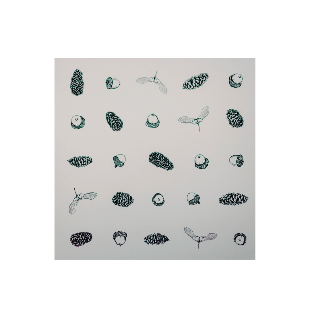 Tree Seeds Art Print