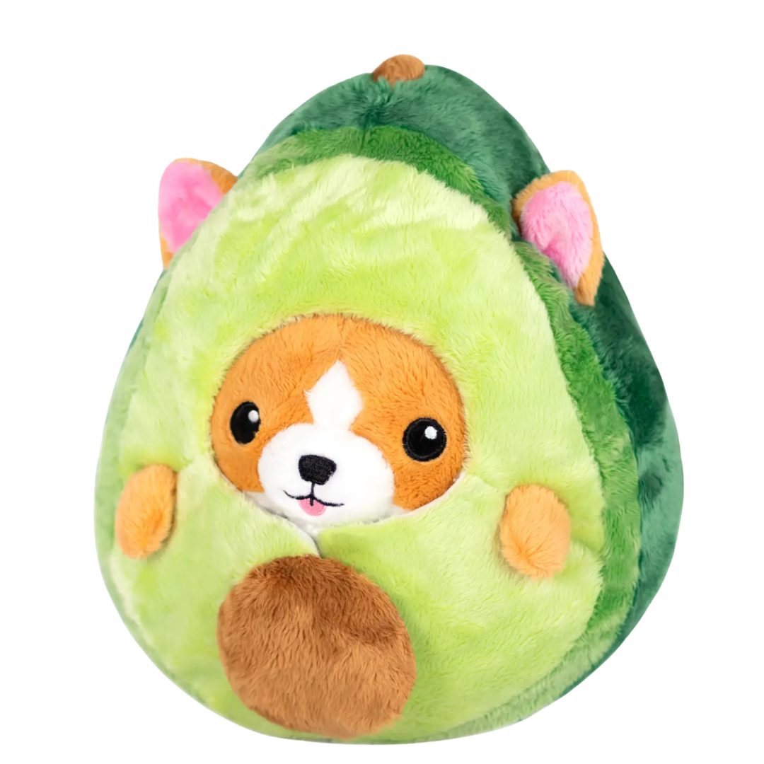 Undercover Corgi in Avocado