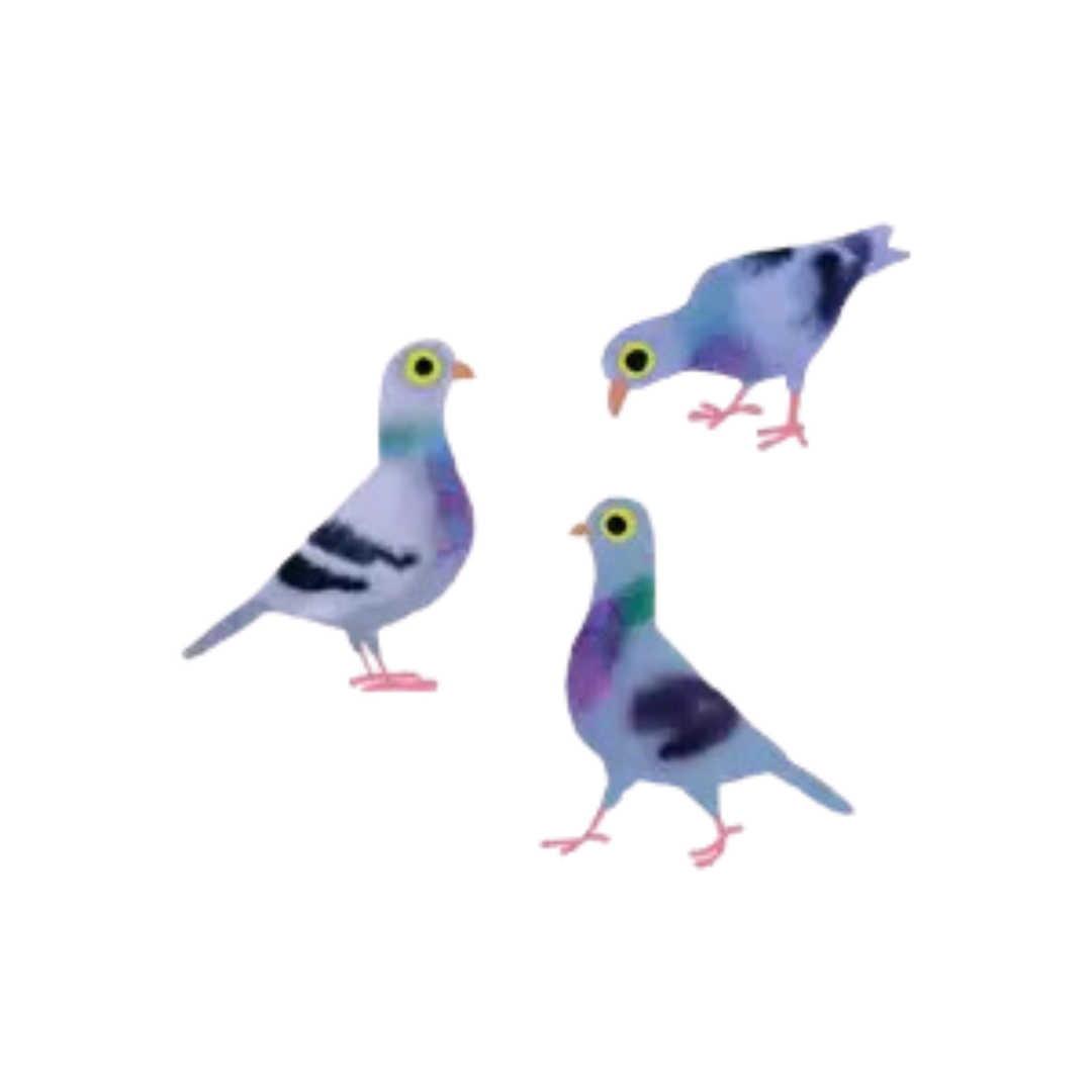 Pigeon Pals Tattoo Pair