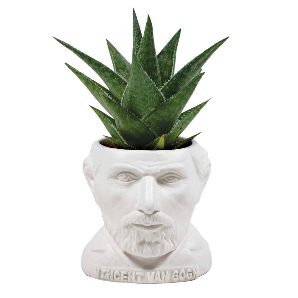 Vincent Van Gogh Planter