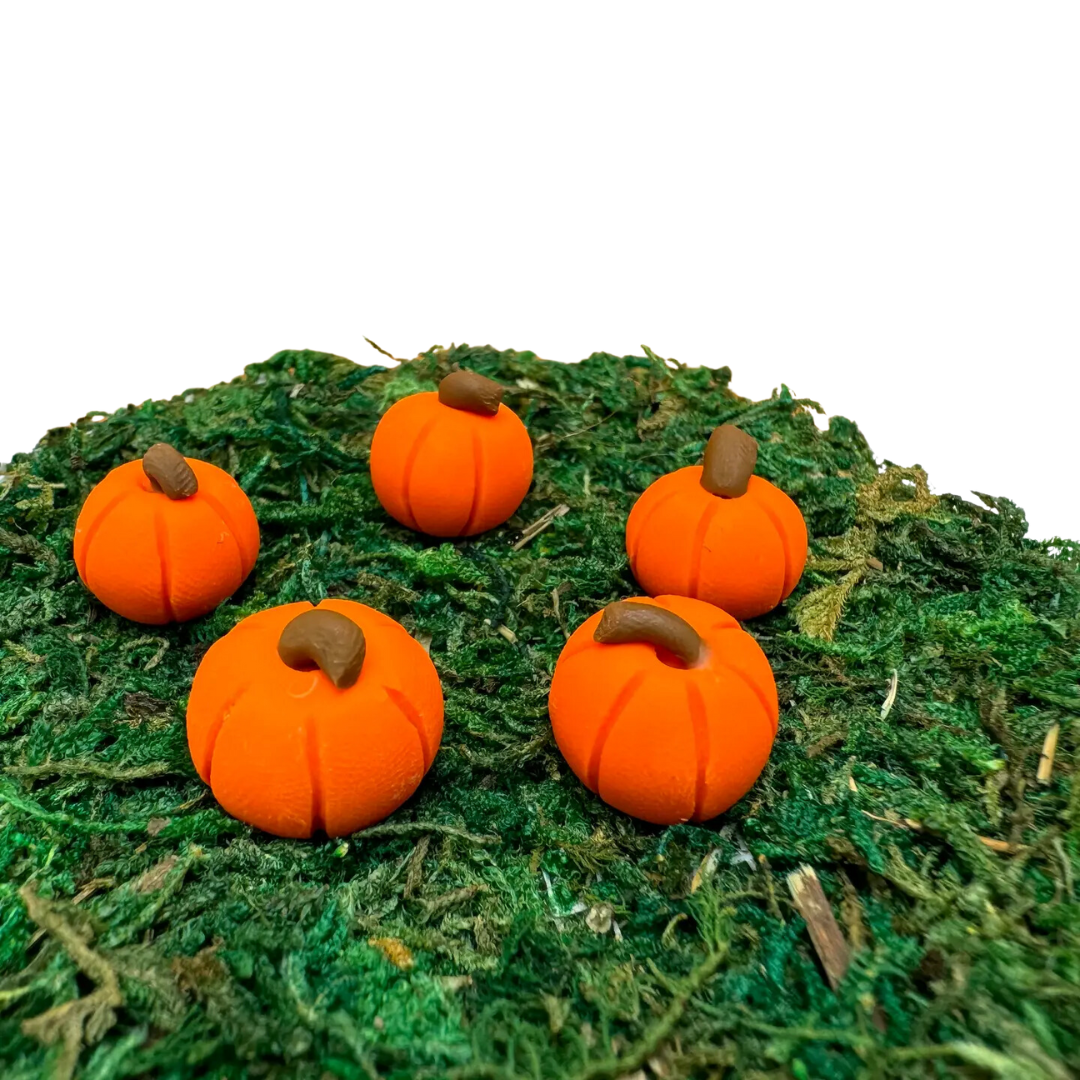 Fairy Garden Miniature Pumpkin Plant Picks