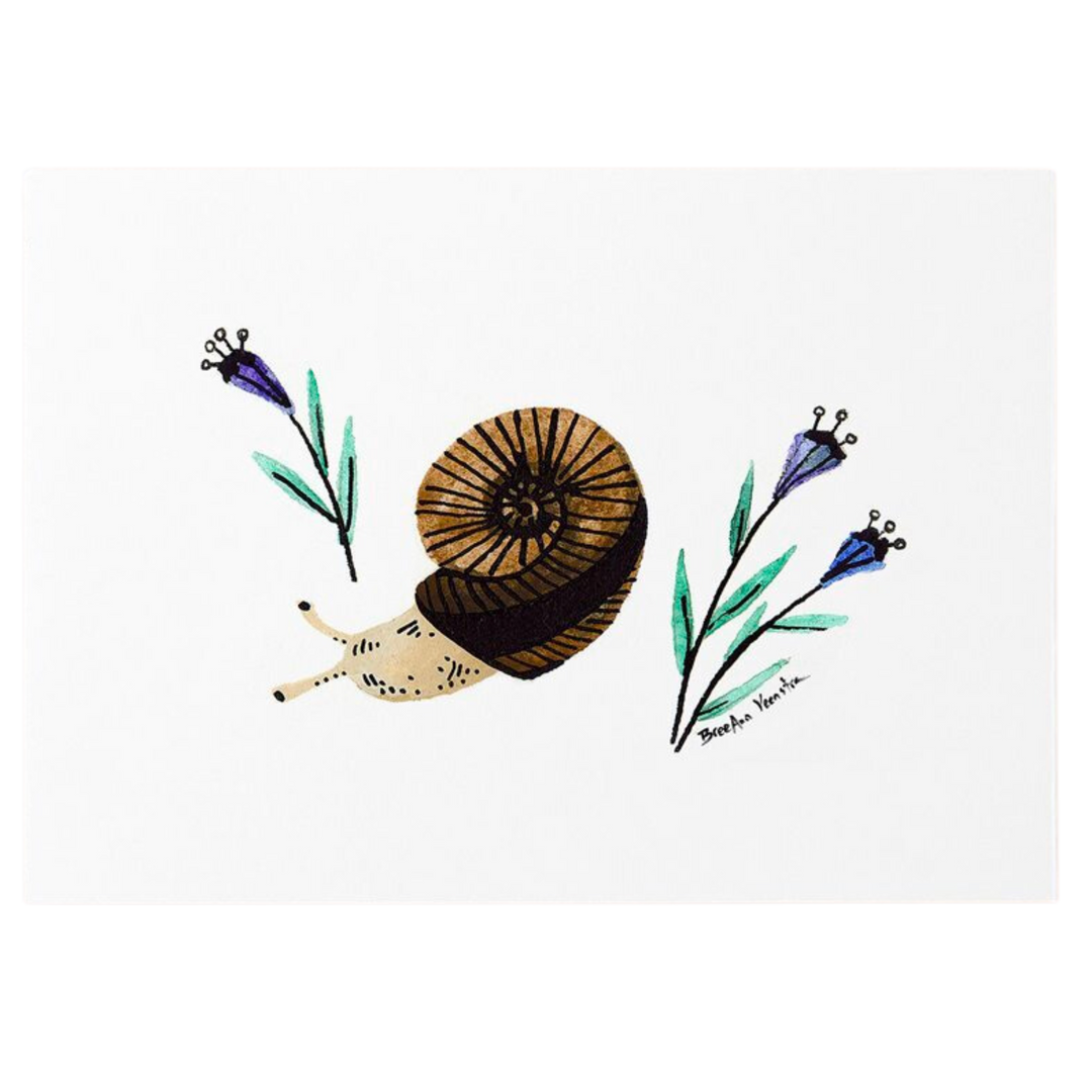 Snail Art Print 5x7