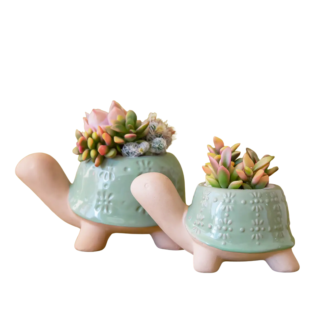 Turtle Planter - Lagoon