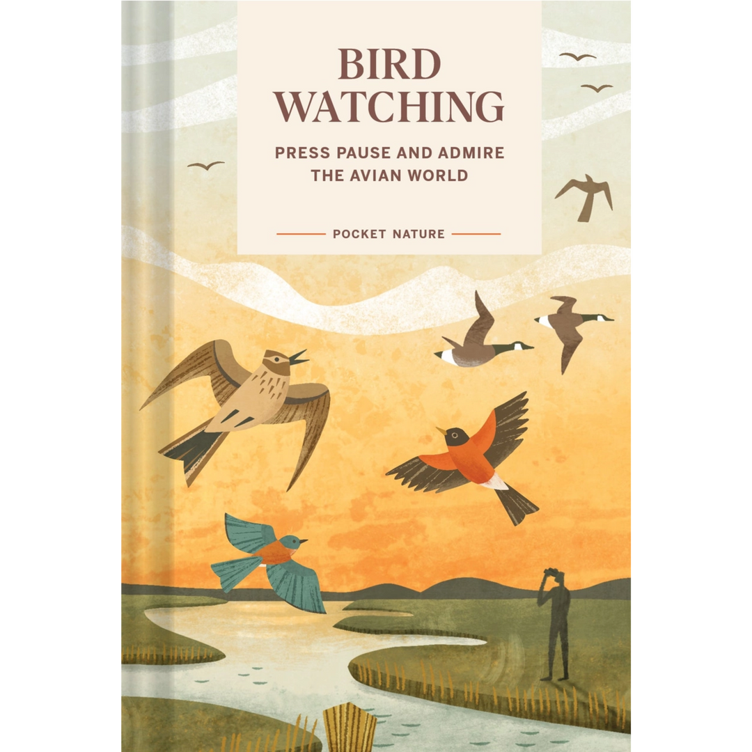 Pocket Nature: Bird-Watching