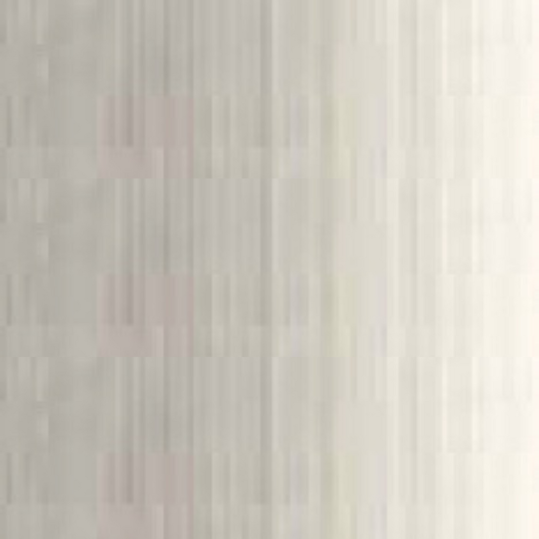 Grey of Grey Holbein Duo Aqua Oil Color 40ML