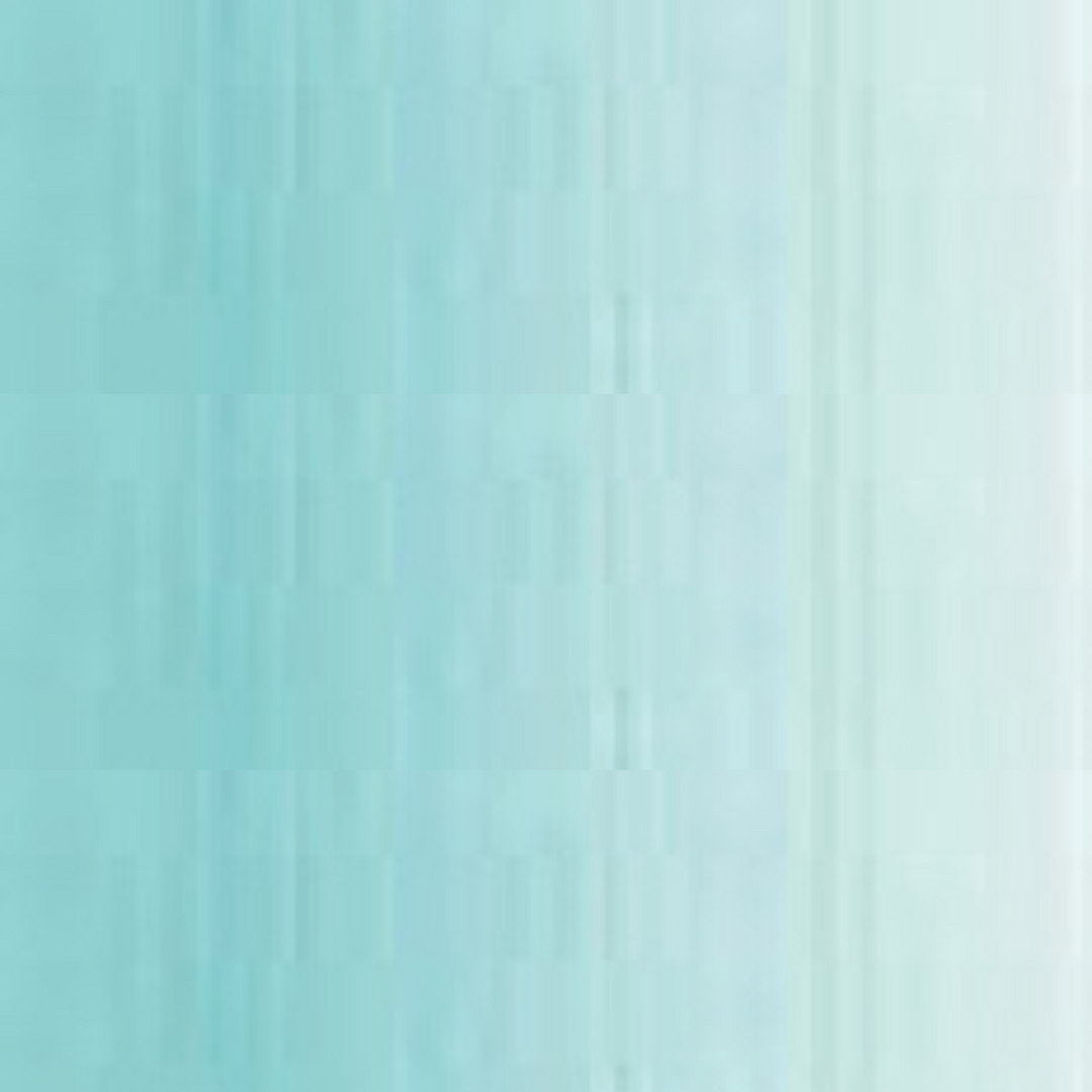Ice Green Holbein Duo Aqua Oil Color 40ML