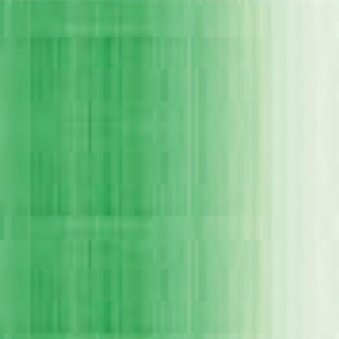 Luminous Green Holbein Duo Aqua Oil Color 40ML