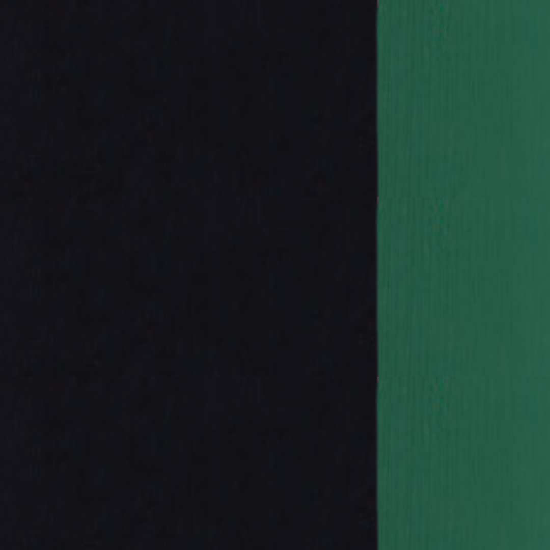 Phthalo Green Holbein Artist Oil Color 40ML