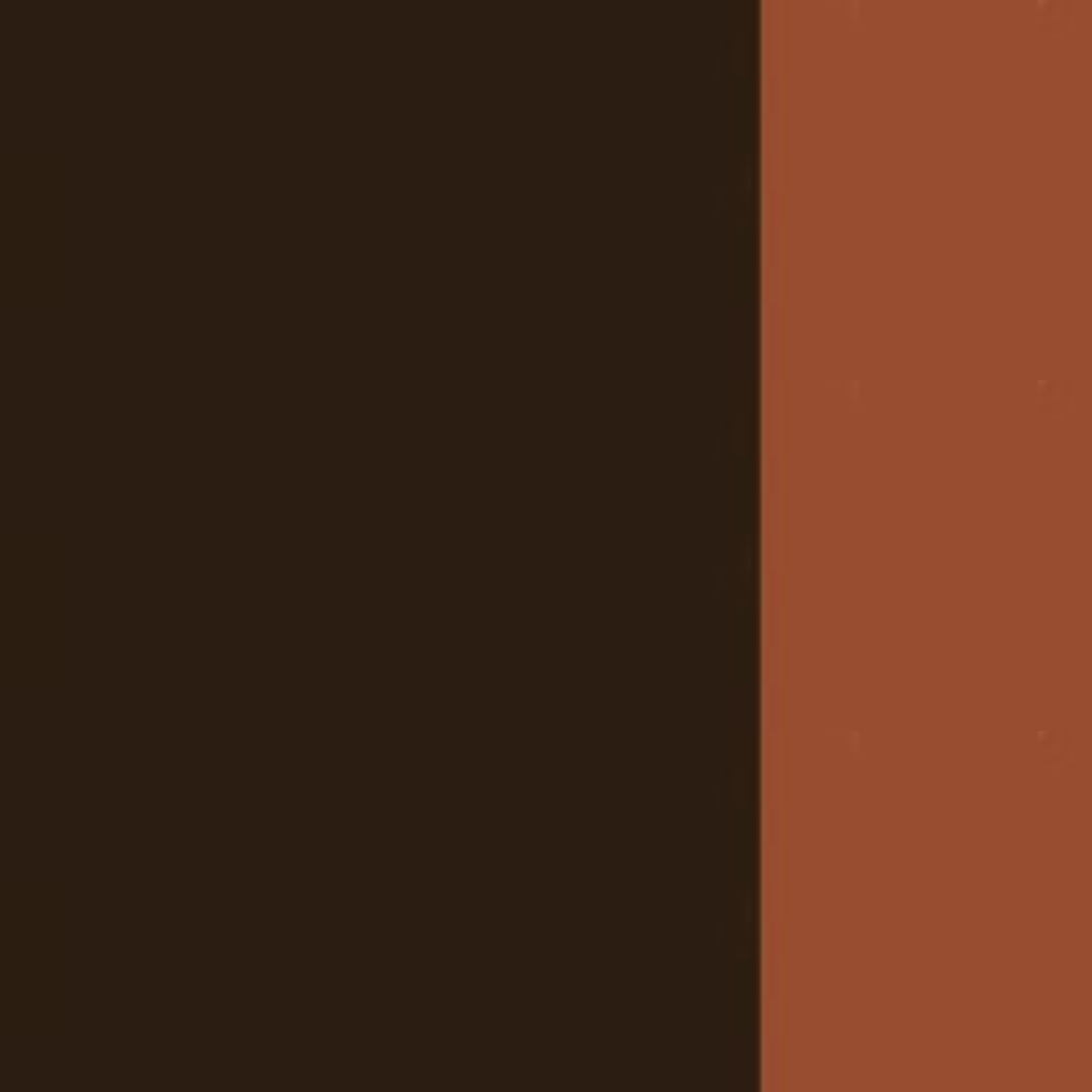 Transparent Brown Oxide Holbein Artist Oil Color 40ML