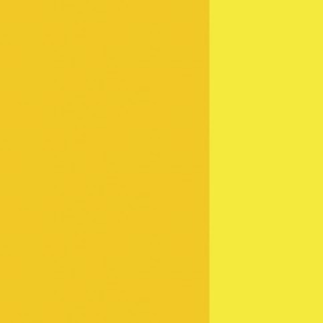 Quinophthalone Yellow Holbein Artist Oil Color 40ML