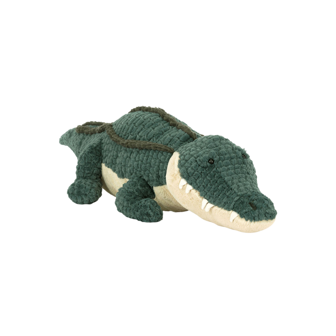 Allexi Alligator