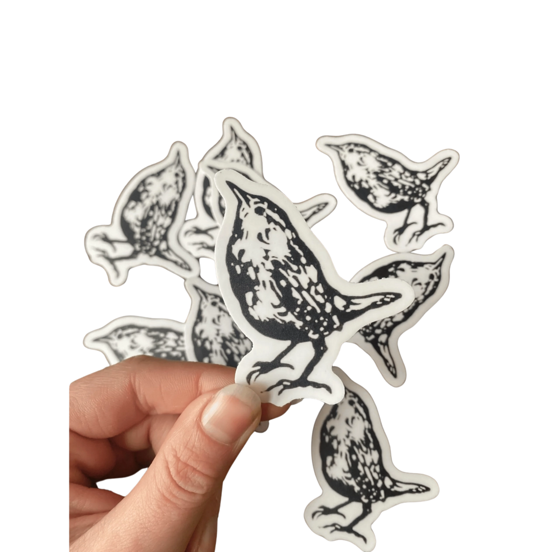 Wren Sticker