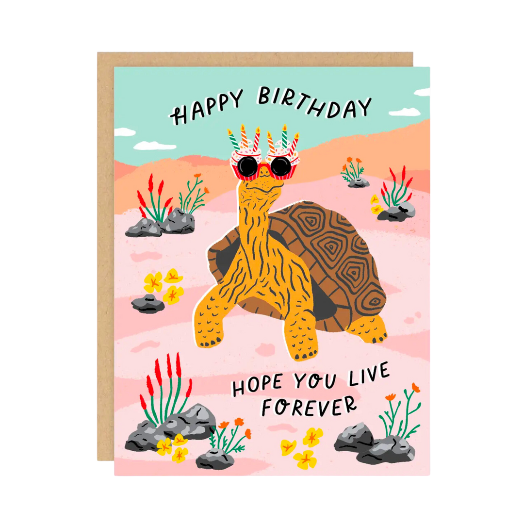 Birthday Tortoise