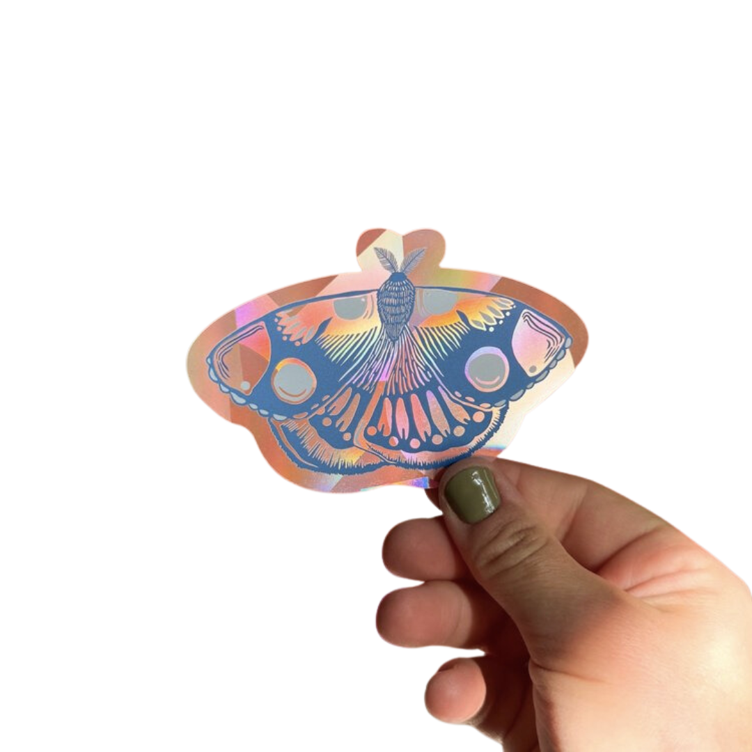 Moth Suncatcher Decal