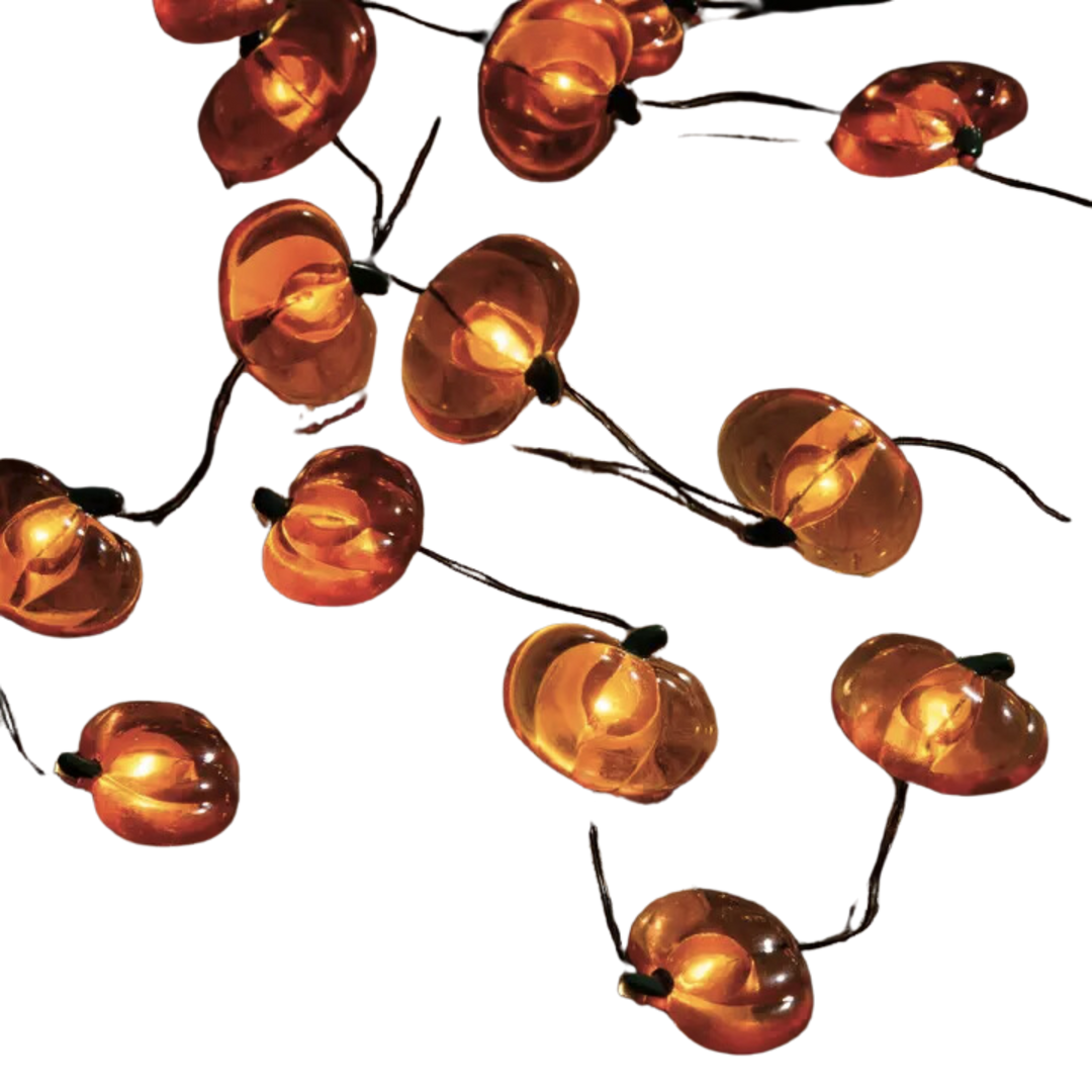 Pumpkin Wire Lights