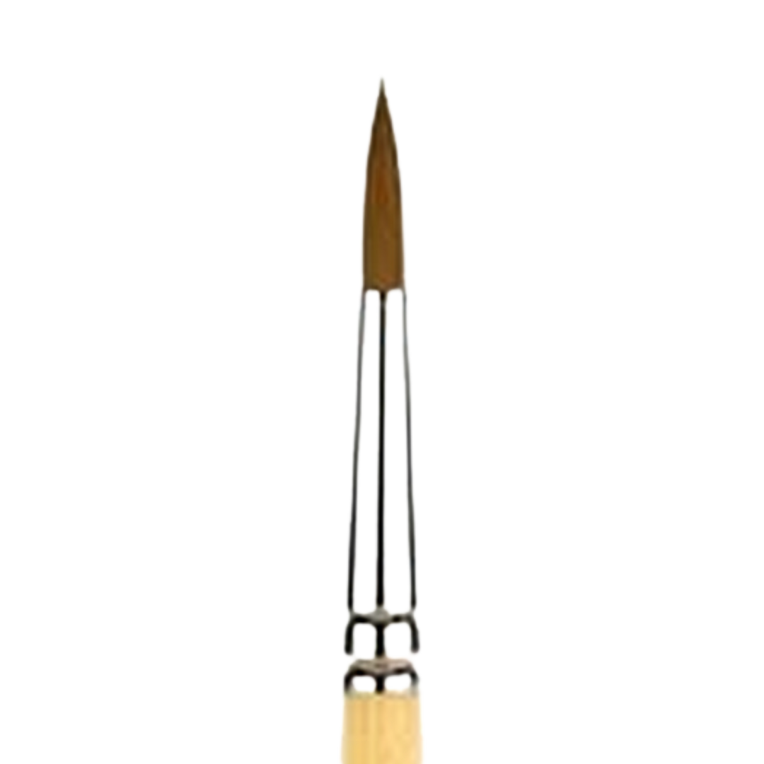 Snap Gold Taklon Short Handle Round 2