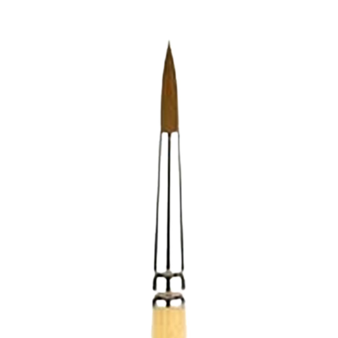 Snap Gold Taklon Short Handle Round 6