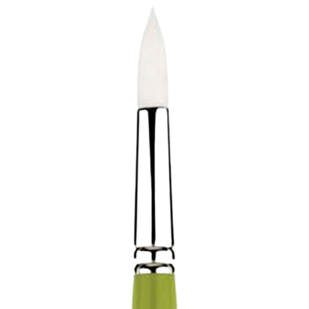 Snap White Taklon Long Handle Round 0