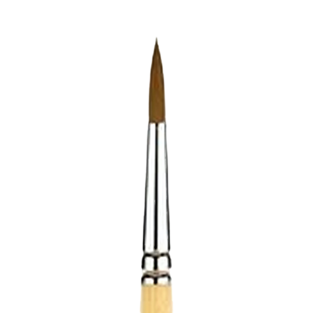 Snap Gold Taklon Short Handle Round 10