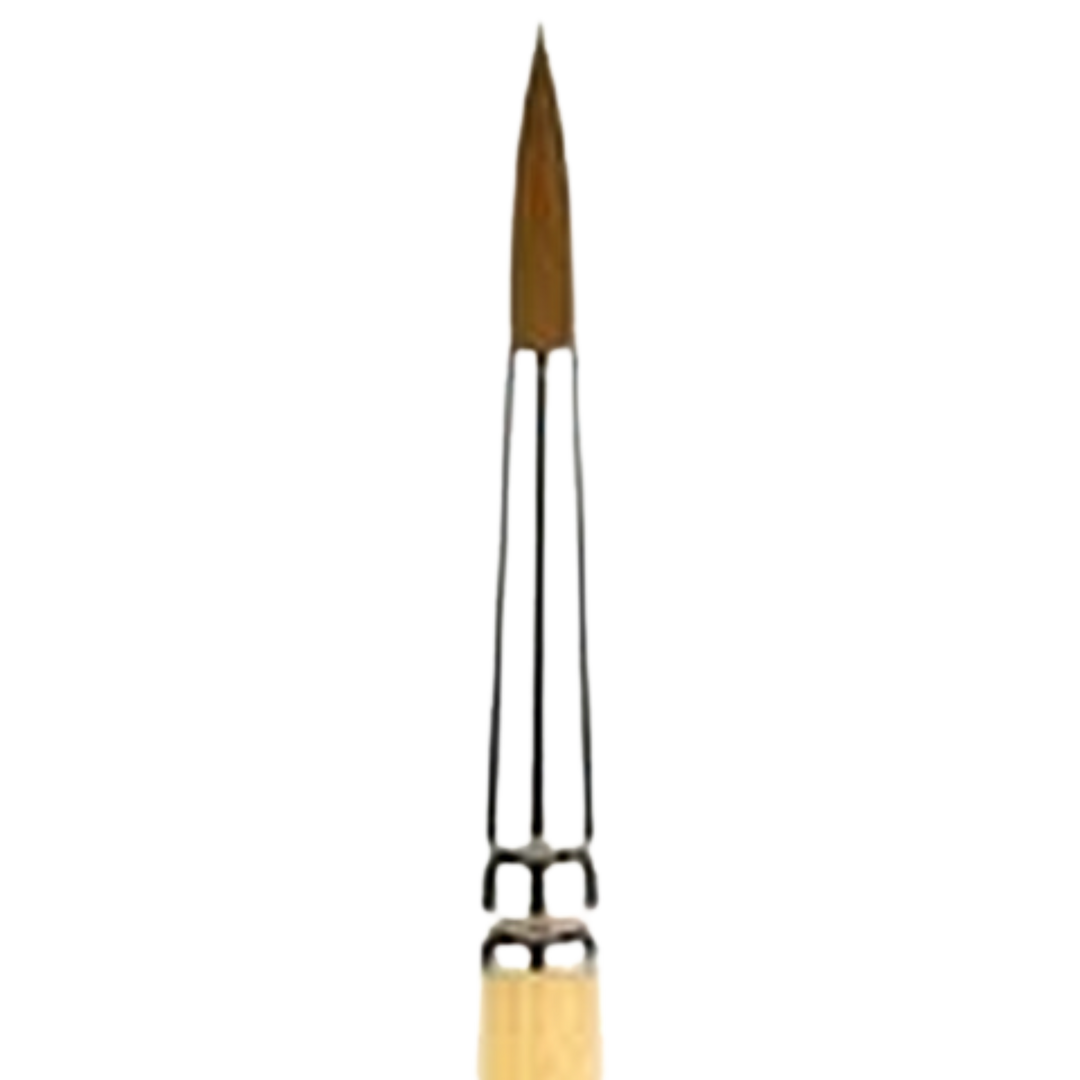 Snap Gold Taklon Short Handle Round 16