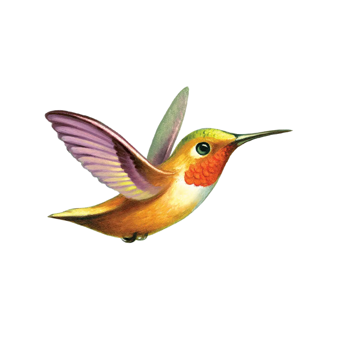Hummingbird Tattoo Pair