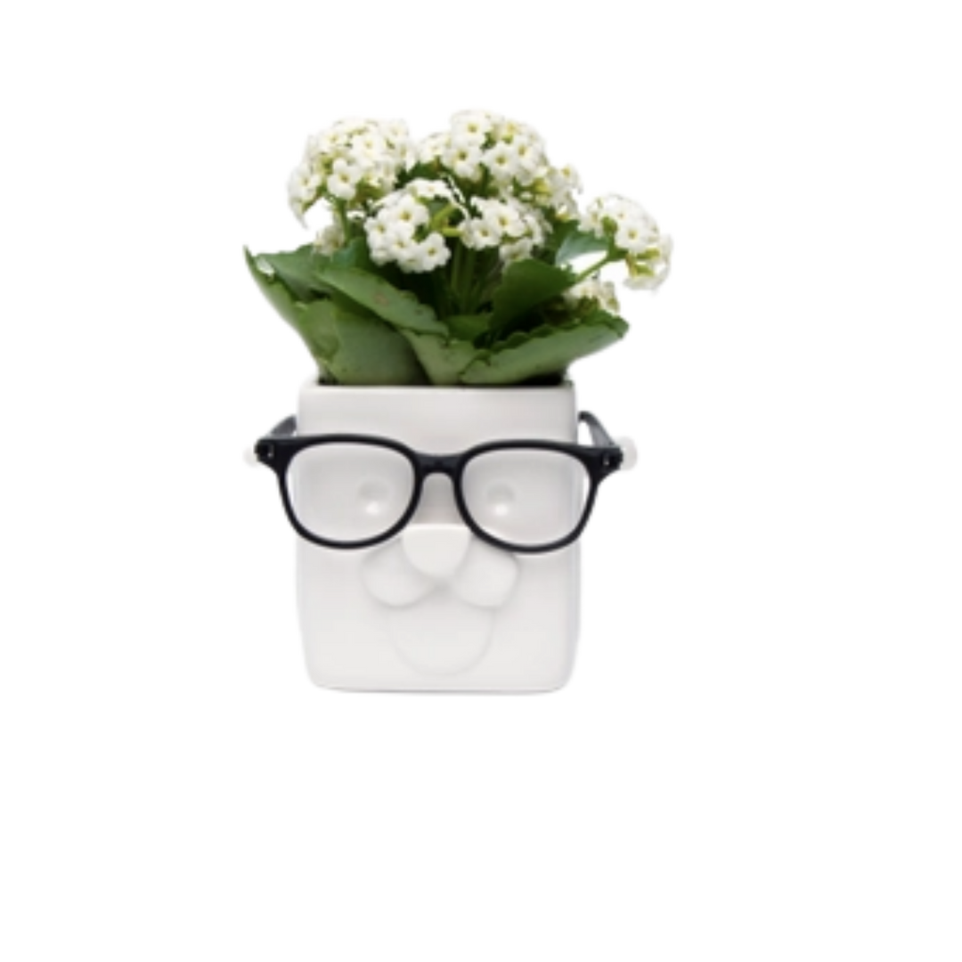 Puppy Plant Planter