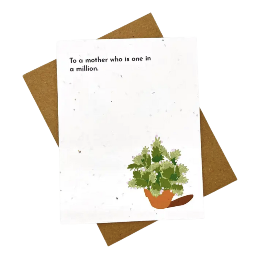 Mother Of Millions Plantable Card