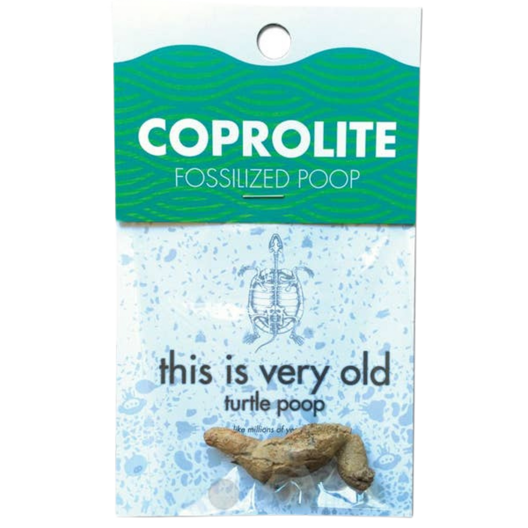 Coprolite