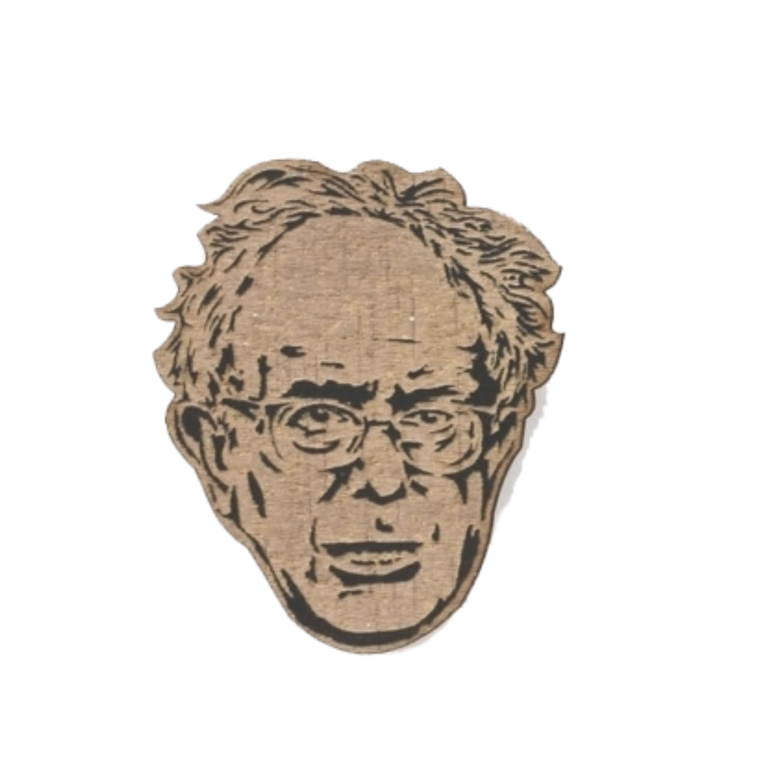 Bernie Sanders Pin