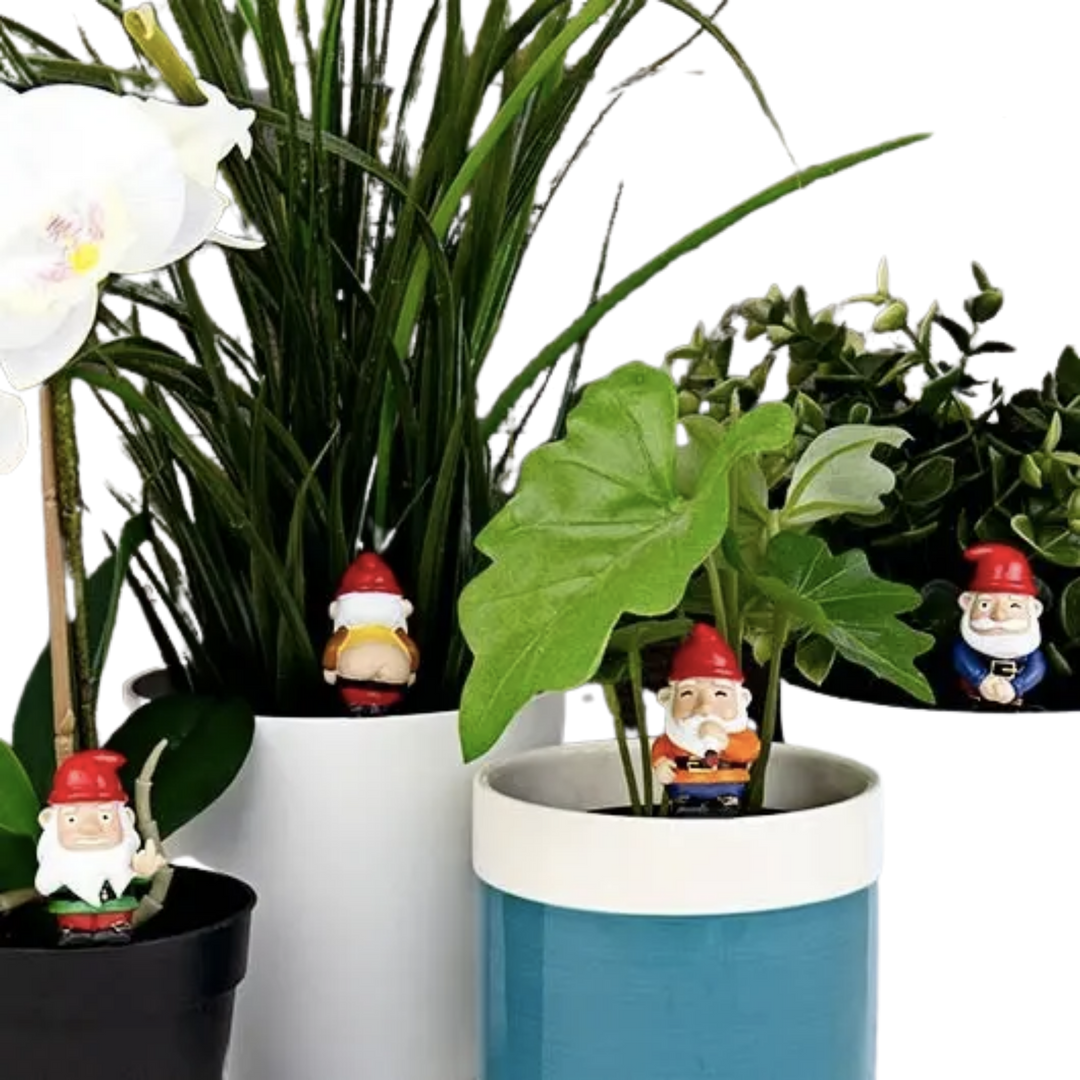 Naughty Gnome Planter Friends