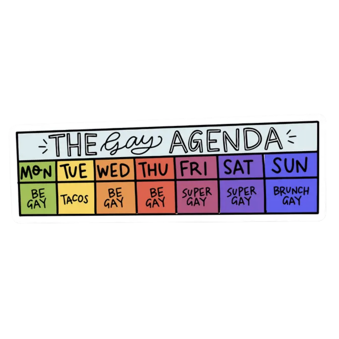 The Gay Agenda Magnet