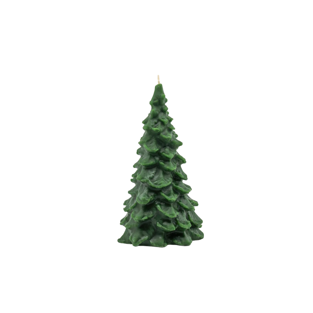 Beeswax Evergreen Tree