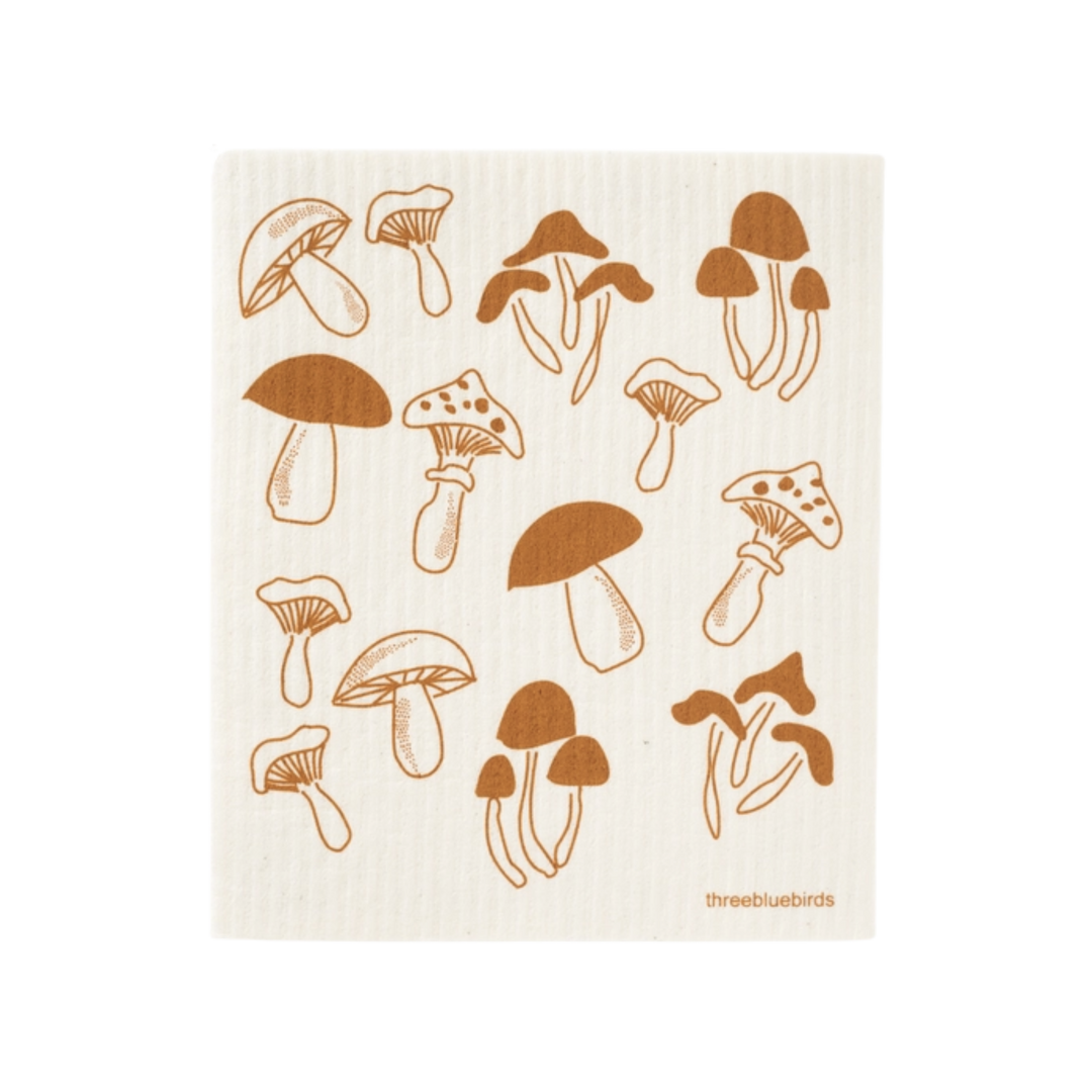 Fungi on White Swedish Dishcloth