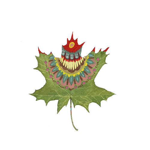 Collector: Leaf 4 - Art Print
