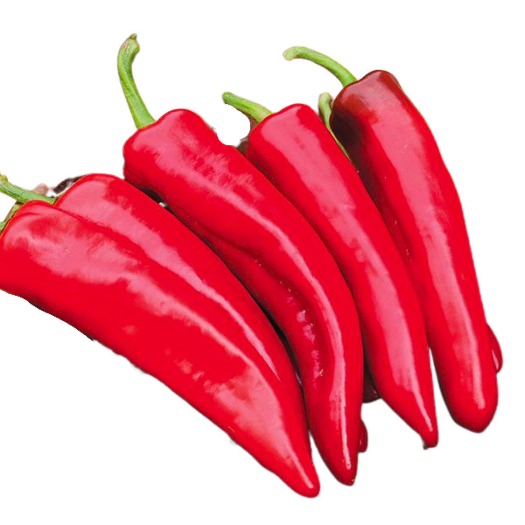 NuMex Joe Anaheim Pepper: 1/64 Oz