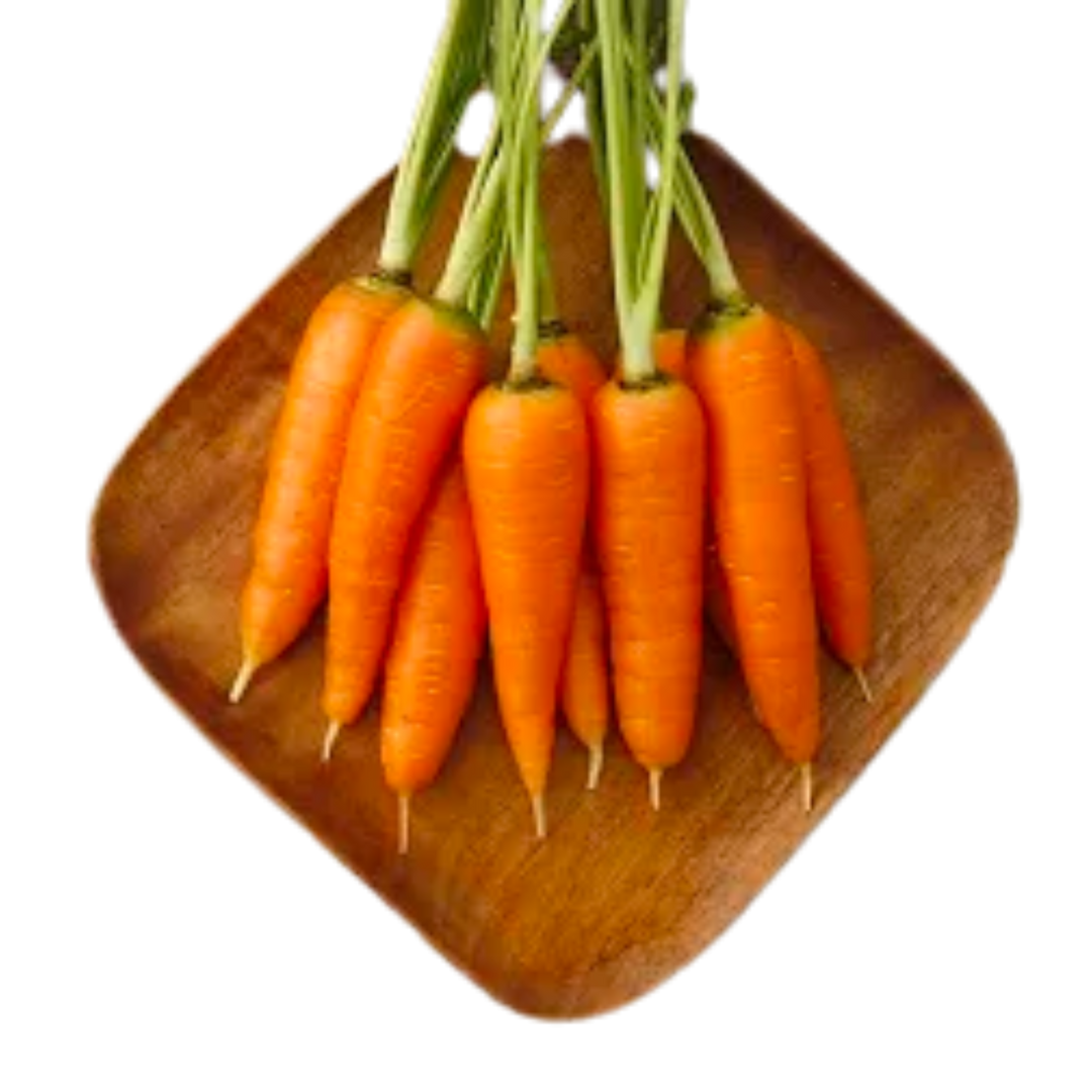 Danvers 126 Carrot: 1/32 oz.