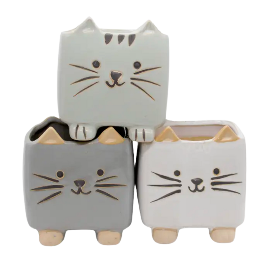 Glazed Cat Tall - Assorted Grays