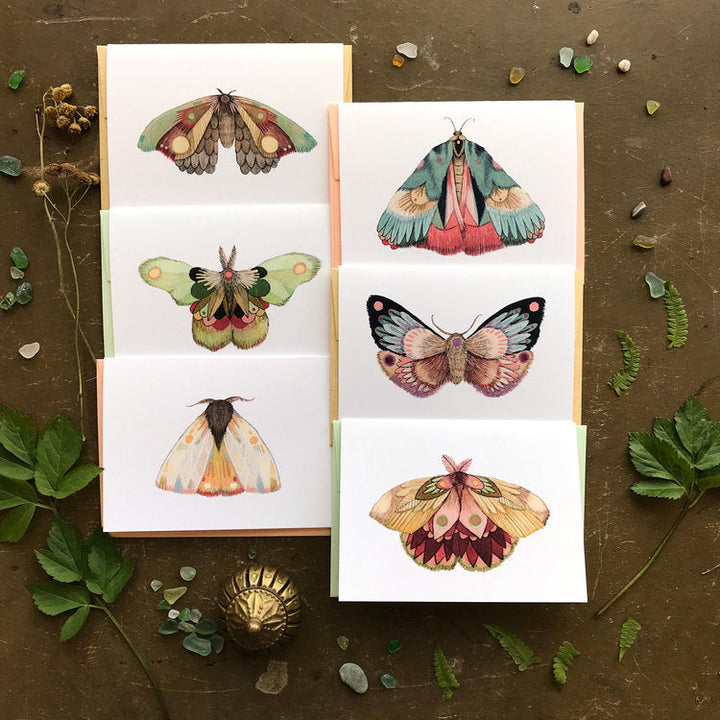 Collector: Moths Set 2 - Greeting Card Pack