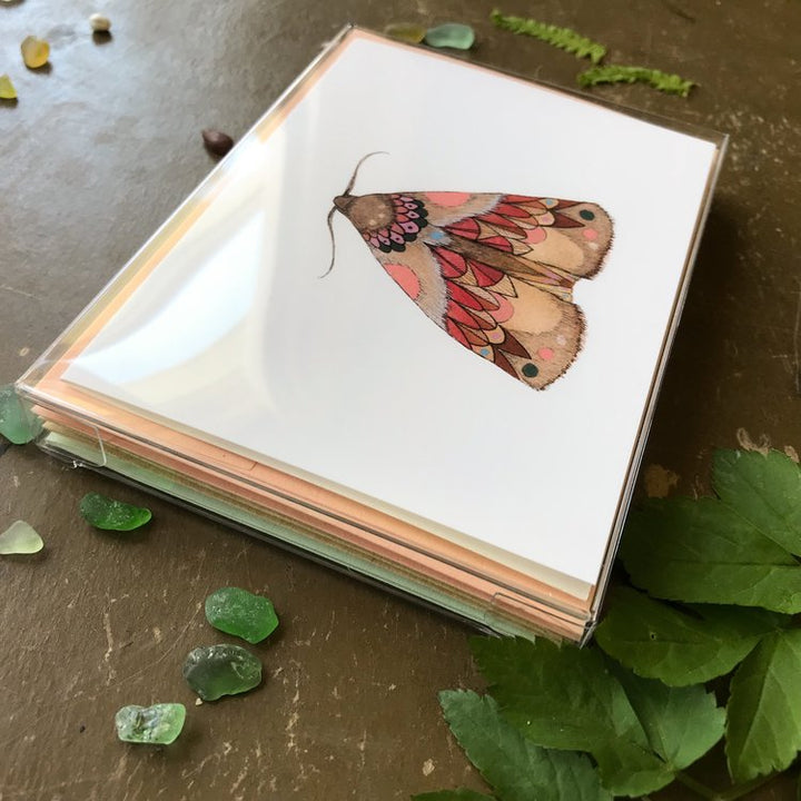 Collector: Moths Set 1 - Greeting Card Pack